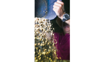 Exceso de lluvias amenaza producción de café colombiano 