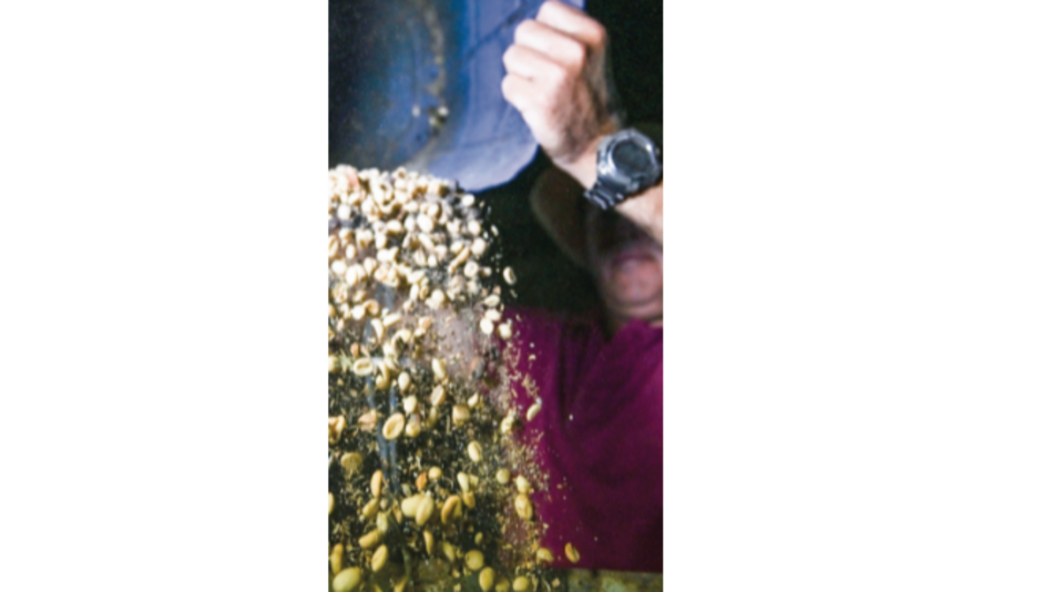 Exceso de lluvias amenaza producción de café colombiano