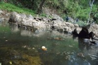 Salud conoce los daños del río Chilibre