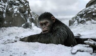 Los 'simios' destronan al Hombre Araña del tope de la taquilla norteamericana