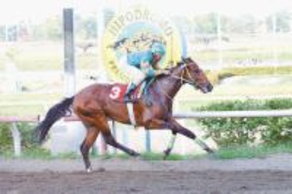 'Arbatash' y 'Workaholic' miden fuerzas en la estelar