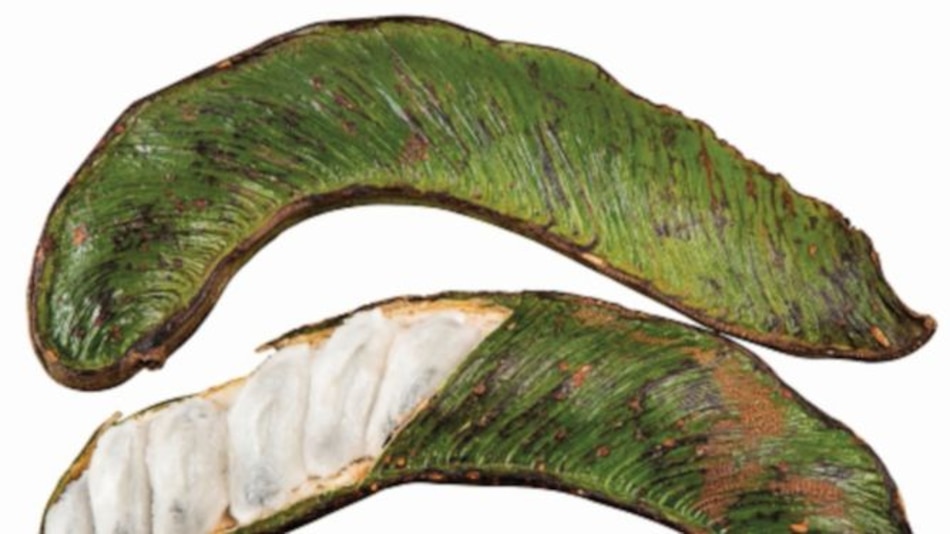 La suave y dulce guaba