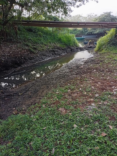 La contaminación del río San Pablo en Soná