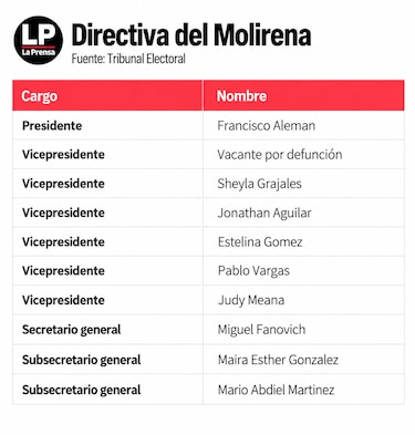 Vicepresidentes y subsecretarios de partidos políticos quedarían sin fuero penal electoral