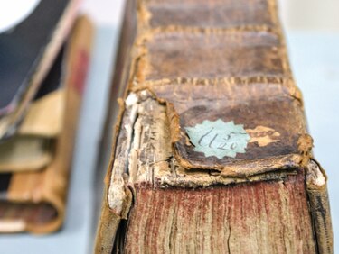 ‘Los dos nobles caballeros’, tragicomedia olvidada en el tiempo