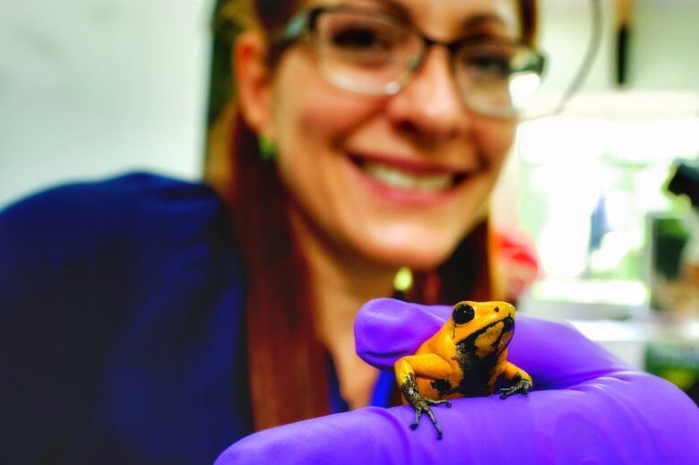 Cinco voces que hacen patria desde lo cotidiano