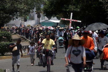 ONG pide ayuda a México por caso de asesinatos de migrantes