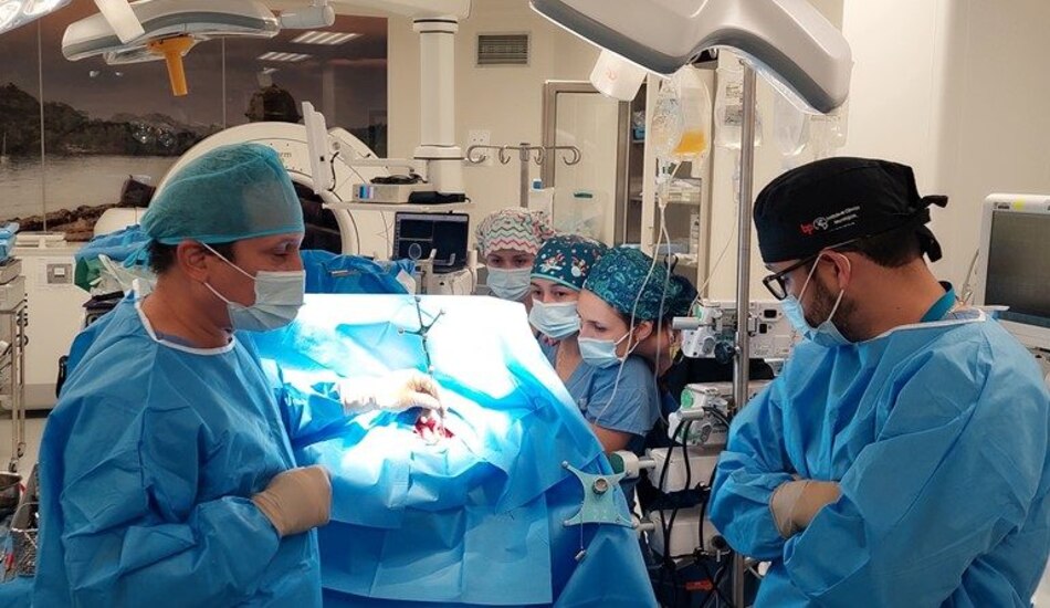 Remueven tumor cerebral con paciente despierto en la Ciudad de la Salud