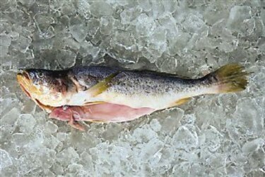 Del anonimato al protagonismo