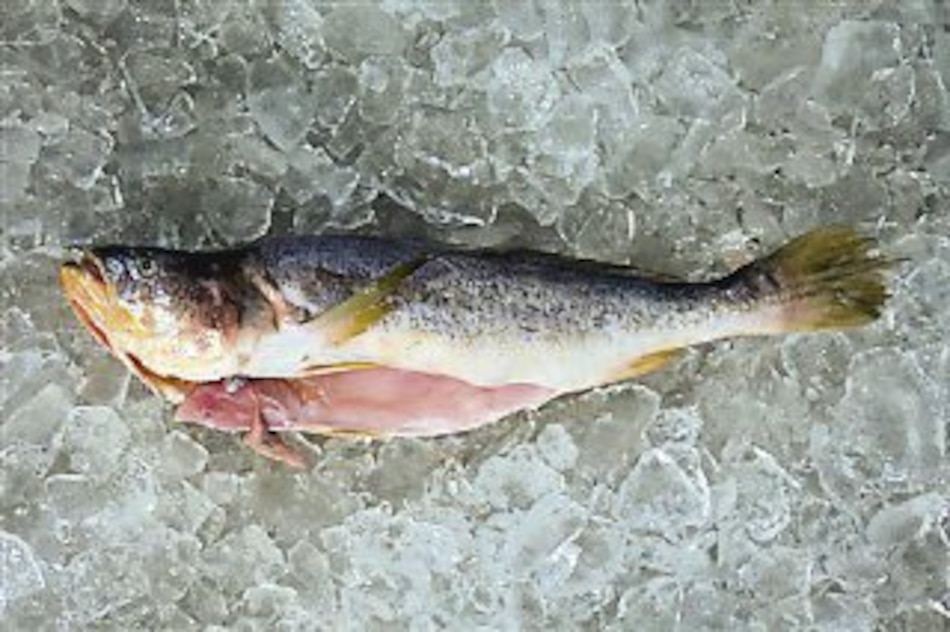 Del anonimato al protagonismo