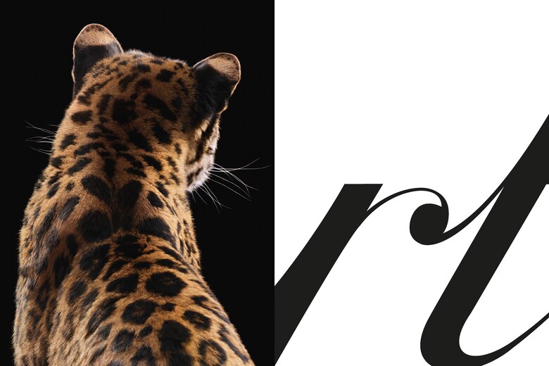 Cartier celebra a su ícono felino
