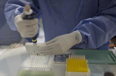 Vacuna experimental contra zika funciona en ratones