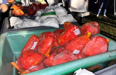 Naviferias del IMA 2025: lugares y horarios para comprar este 3 de diciembre