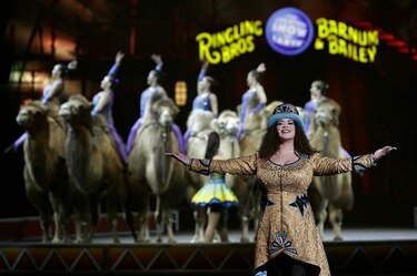 Cierra el circo Ringling tras 146 años activo