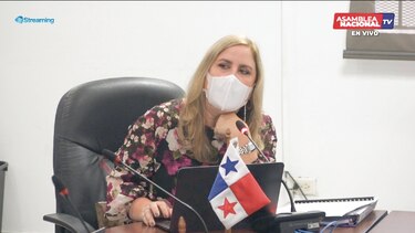 Propanamá ve reducida un 55% su aspiración presupuestaria