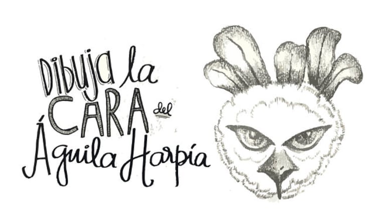 Hoy se conmemora el Día Nacional del Águila Harpía