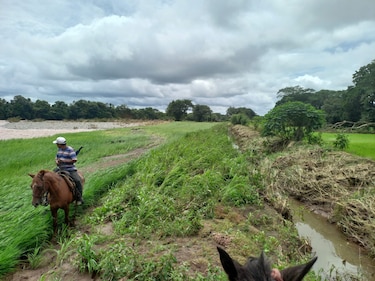 Pérdidas por lluvia podrían generar distorsión en los precios de los productos agrícolas