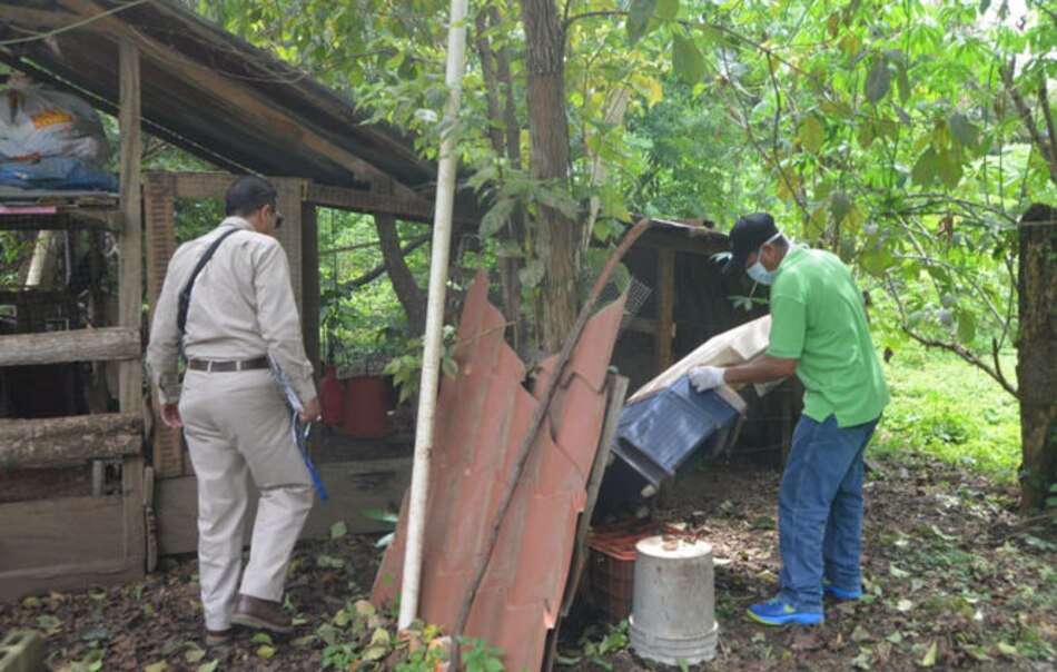 Aumentan a 98 los casos de virus hanta en Los Santos