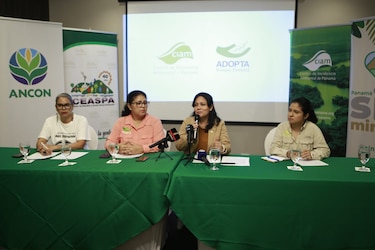 Caso Puerto Barú: secuestro preventivo de activos impacta operación de grupos ambientalistas