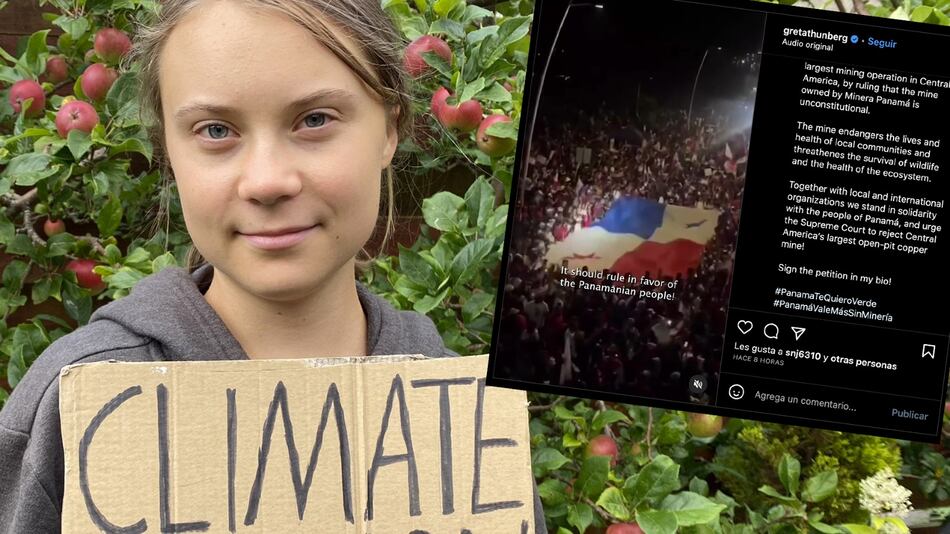 Greta Thunberg se suma a las voces que rechazan la mina en Donoso