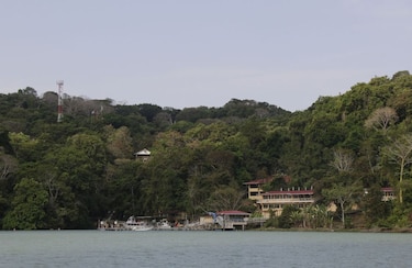 Buzzfeed reporta una cultura de acoso y comportamiento sexual inapropiado en el Smithsonian