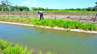 Evalúan alza de arrendamiento en Remigio Rojas