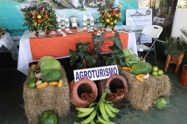 Se inicia la versión 61 de la Feria de San Sebastián de Ocú
