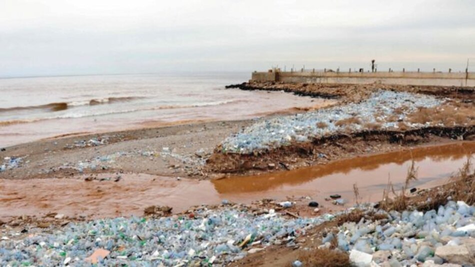 Enzima que come plástico, opción para el ambiente