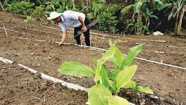 Impulsan el desarrollo de agricultura familiar