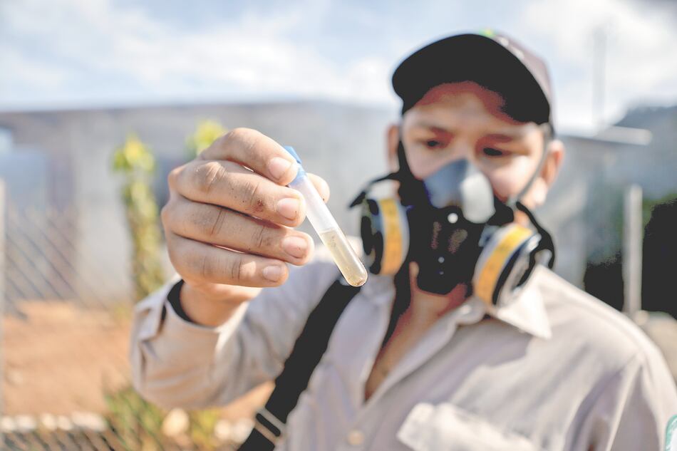 Cinco defunciones por dengue en las primeras semanas del año 2024: Minsa