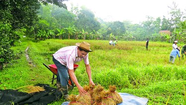 Productores reclaman caminos y mercados