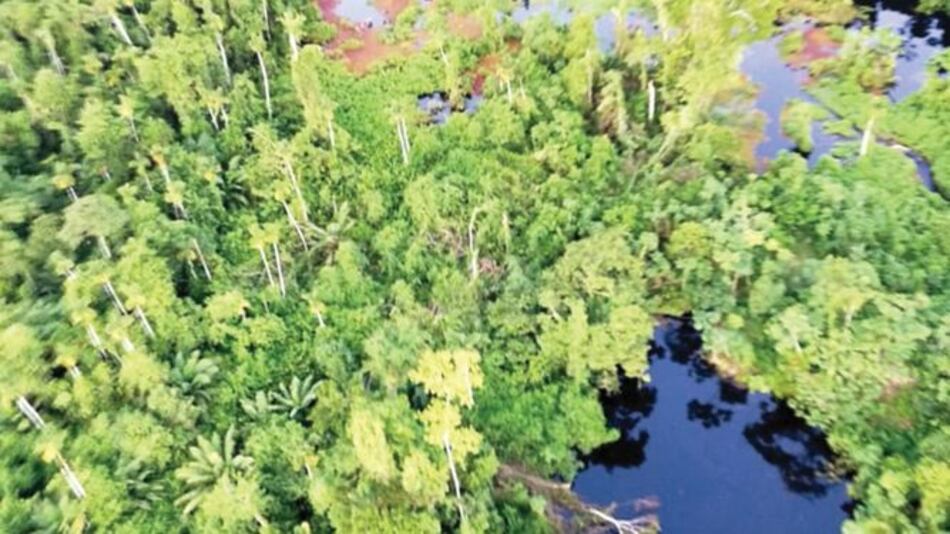 Frontera Energy comenzó a detener producción de petróleo