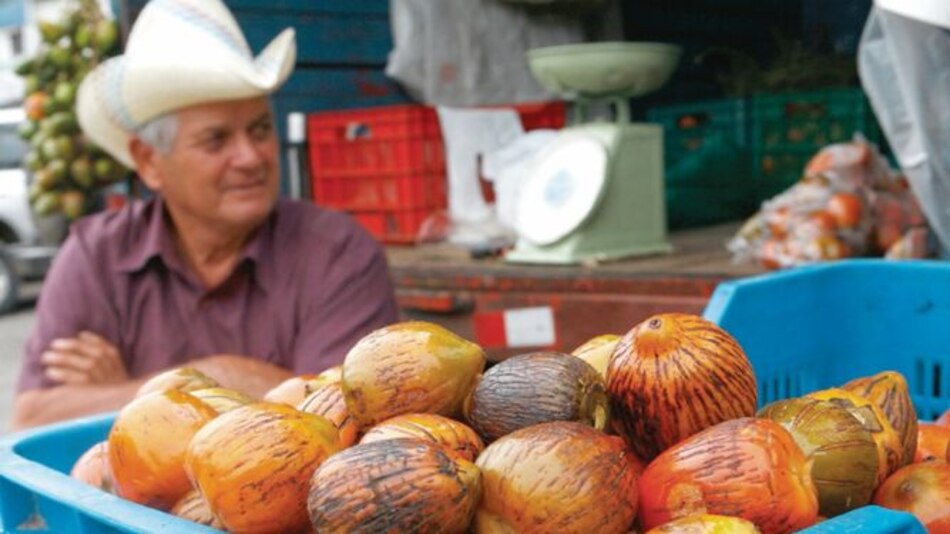 Sequía en Centroamérica, abono para plaga de insectos