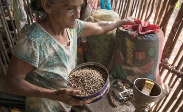 Plan Colmena llega a 57 corregimientos en Veraguas y Chiriquí