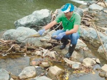 Anam señala a Campos de Pesé por contaminación