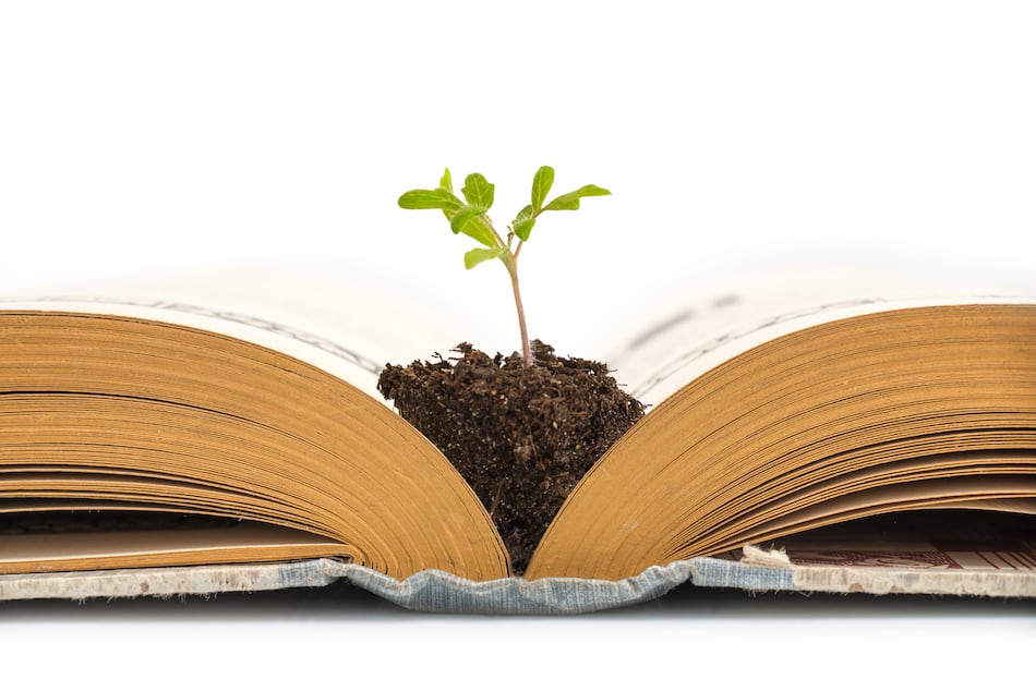 ¿Cómo impacta la educación ambiental en los estudiantes de premedia en Panamá?