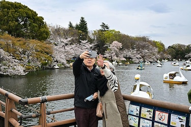 Japón pierde casi 1 millón de habitantes, el mayor descenso de población en más de medio siglo