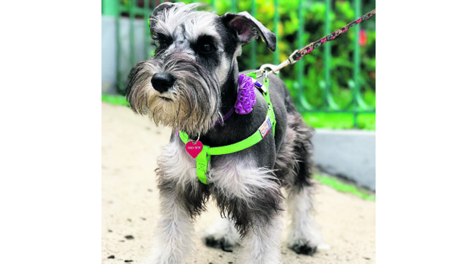 Conozcan a Zoe Mau Mau