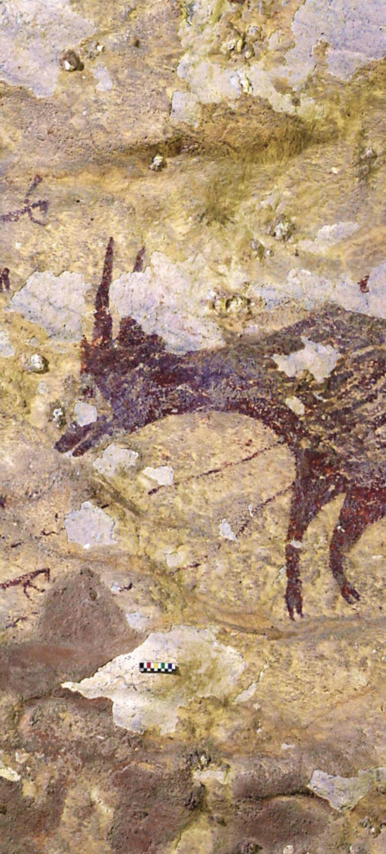 Descubren en Indonesia la obra de arte figurativo más antigua