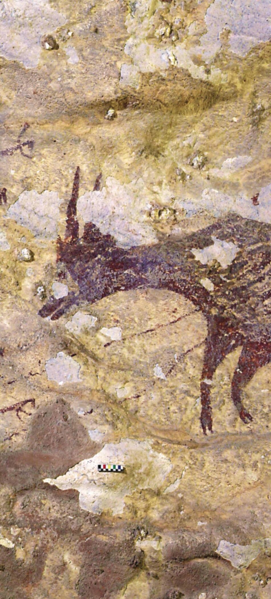 Descubren en Indonesia la obra de arte figurativo más antigua