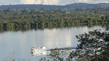El Amazonas reduce a la mitad su capacidad para absorber dióxido de carbono