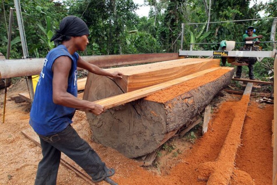 Aplazan permisos de tala