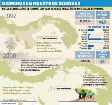 La deforestación golpea duro