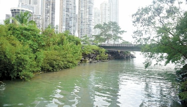 Consorcio de empresas de Francia, México y Panamá saneará el río Matasnillo