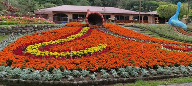 Con el lema ‘Es hora de volver a compartir’, todo está listo para el inicio de la Feria de las Flores y del Café