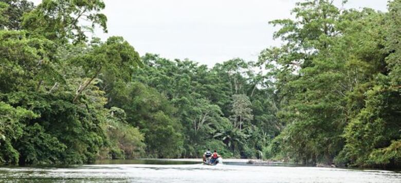 Ruta por Darién ha cobrado la vida de, al menos, 25 migrantes