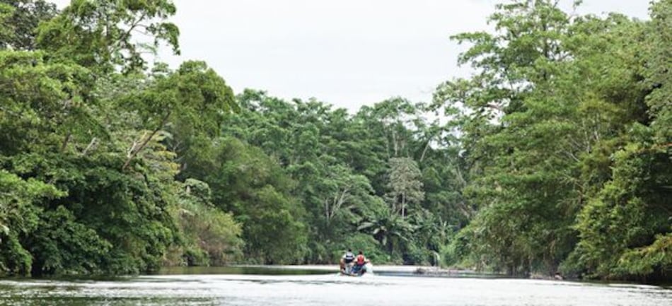 Asaltan a migrantes en Darién; un menor de seis años de edad falleció
