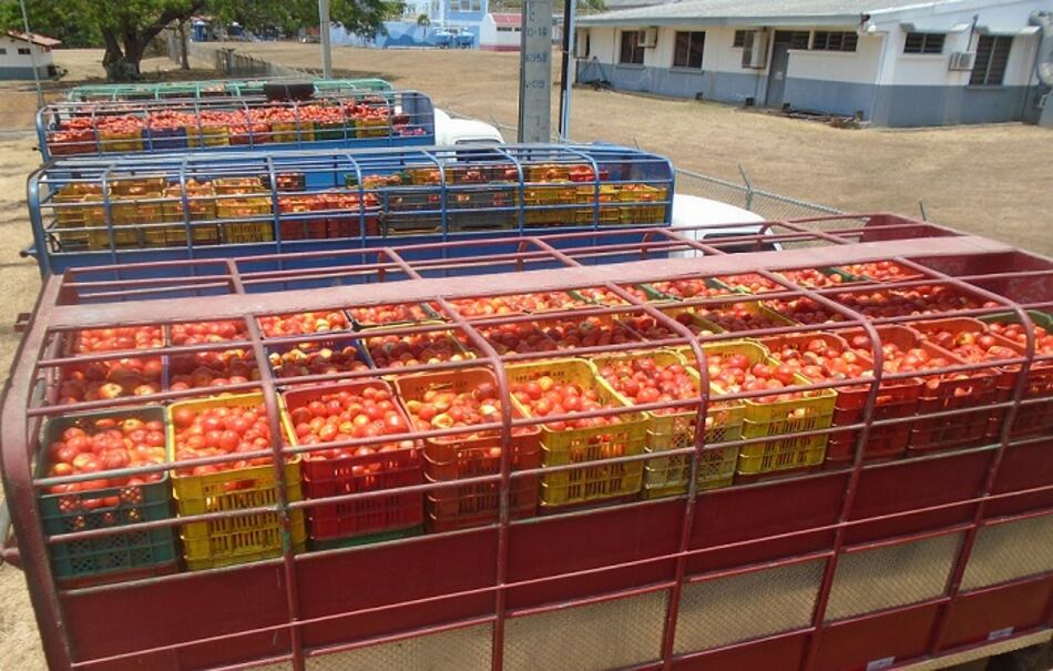 Productores mexicanos alertan un alza de precios y riesgo alimentario por cuota al tomate