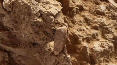 Encuentran diente humano de 560 mil años en el sudoeste de Francia