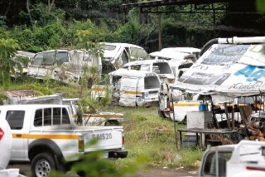 Criadero de mosquitos en Amador